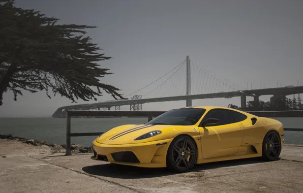 F430, Ferrari, yellow, novitec, scuderia