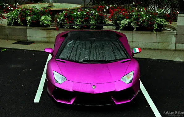 Картинка капли, парковка, красотка, Lamborghini Aventador LP700-4