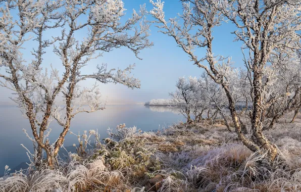 Норвегия, frozen, Finnmark, Varangerbotn