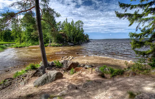 Картинка зелень, лес, небо, солнце, облака, деревья, парк, камни