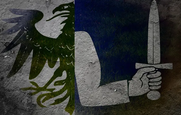 Картинка меч, Флаг, Ирландия, герб, ворон, Коннахт