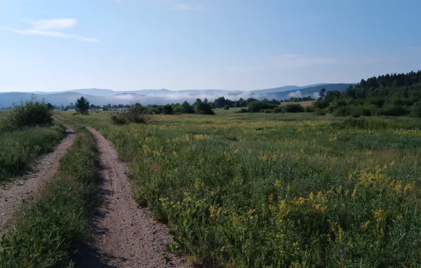 Небо, Дорога, Туман, Трава, Утро