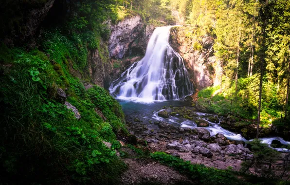 Картинка лес, водопад, речка