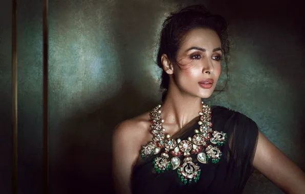 Картинка pose, indian, actress, bollywood, jewelery, Malaika arora