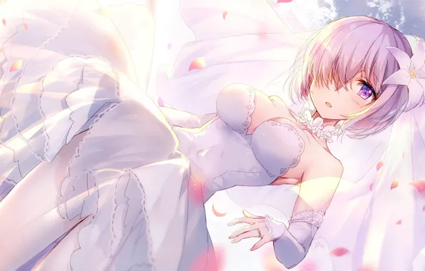 Девушка, Невеста, Fate / Grand Order, Судьба великая кампания
