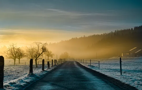 Картинка дорога, природа, туман, иний, утро