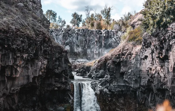 Деревья, горы, камни, скалы, растительность, водопад, ущелье