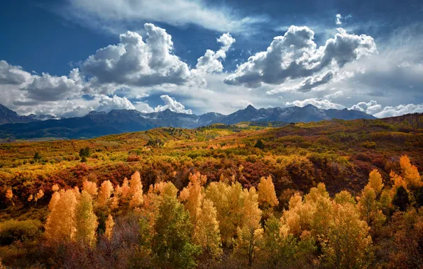 Осень, горы, Колорадо, США, штат, золотой лес
