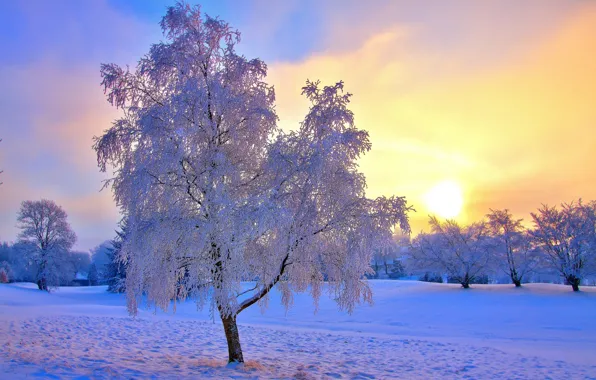 Картинка зима, иней, небо, солнце, снег, деревья, дымка