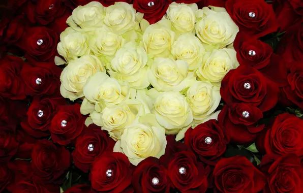 Цветы, сердце, розы, букет, colorful, красные, rose, белые