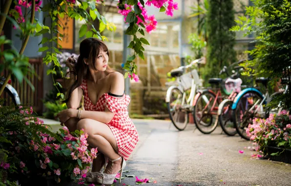 Картинка девушка, ветки, поза, азиатка, цветки, велосипеды, боке