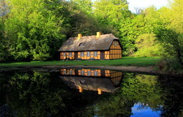 Картинка крыша, зелень, вода, уют, дом, пруд, гладь, отражение