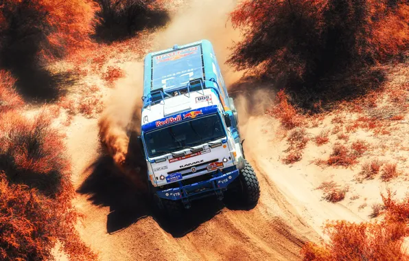 Песок, Грузовик, Гонка, Мастер, Россия, 500, Kamaz, Rally