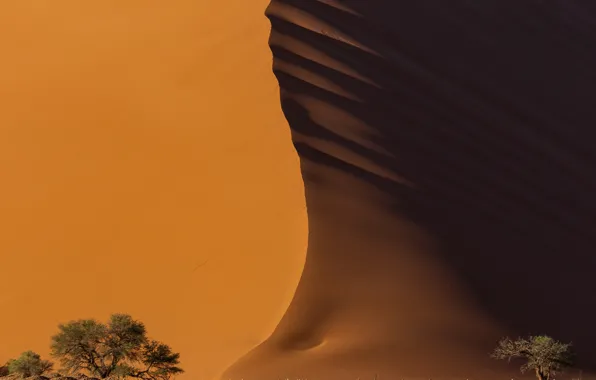 Картинка песок, свет, пустыня, тень, Намибия