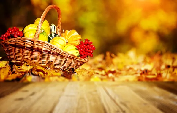 Картинка осень, тыквы, корзинка, рябина
