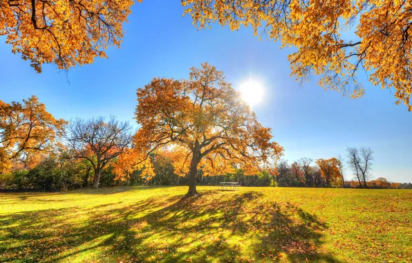 Картинка осень, небо, трава, солнце, лучи, деревья, парк, стол