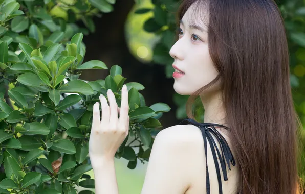 Beautiful, Asian, Model, Tree, Smile, Woman, Cute, Pretty