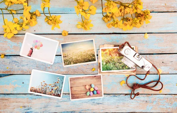 Картинка цветы, фото, яйца, весна, камера, colorful, Пасха, wood