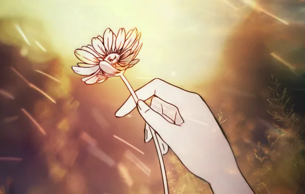 Картинка цветы, руки, ретуш