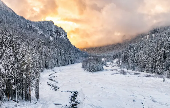 Sunset, winter, snow, national park, Nisqually River valley, Mount Rainie