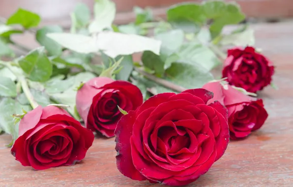 Картинка цветы, розы, pink, flowers, romantic, roses, розовые розы