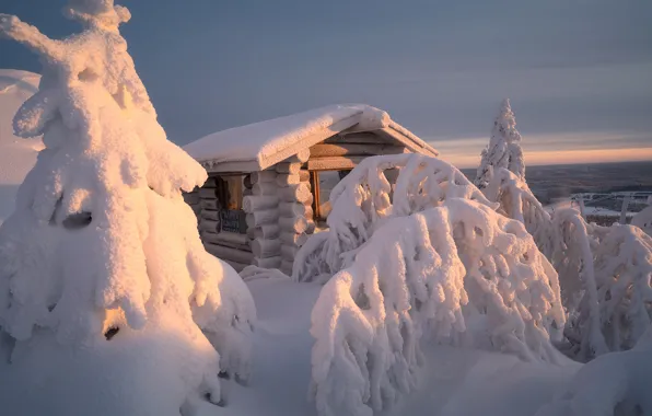 Картинка зима, снег, деревья, пейзаж, природа, избушка, ели, домик