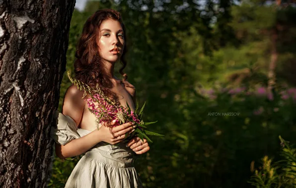 Картинка взгляд, девушка, цветы, природа, поза, дерево, Антон Харисов