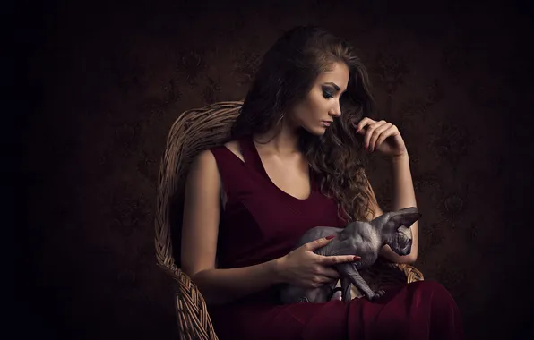 Кошка, кот, девушка, поза, темный фон, кресло, руки, макияж