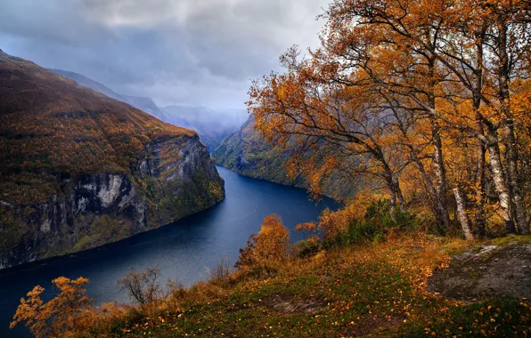 Картинка осень, деревья, пейзаж, тучи, природа, скалы, Норвегия, фьорд