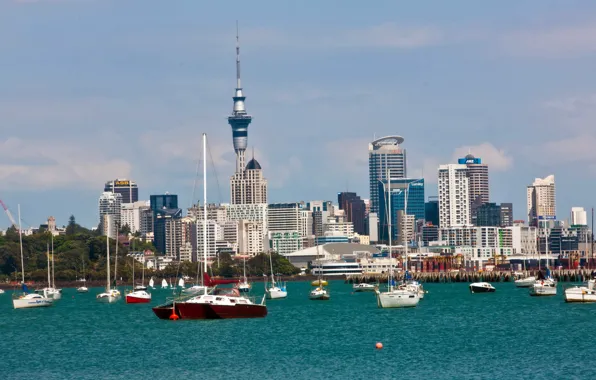 Город, побережье, яхты, Auckland, Новая, Зеландия