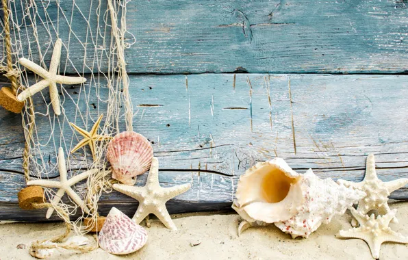Картинка песок, пляж, ракушки, beach, wood, sand, marine, seashells