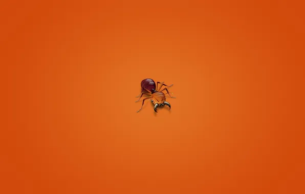Картинка минимализм, муравей, насекомое, красноватый фон, ant