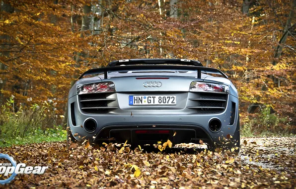 Картинка Audi, листва, Ауди, Top Gear, суперкар, вид сзади, самая лучшая телепередача, высшая передача