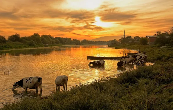 Лето, солнце, облака, закат, природа, река, берег, даль