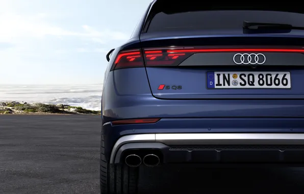 Картинка Audi, close-up, rear, SQ8, Audi SQ8 TFSI