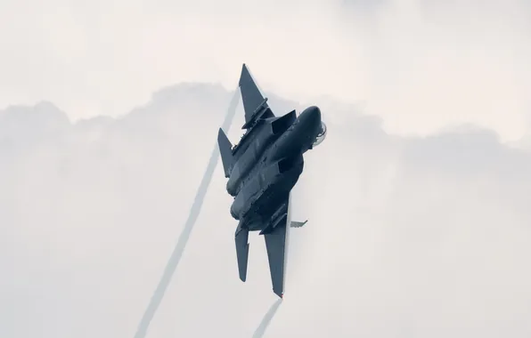 Оружие, самолёт, F-15SG