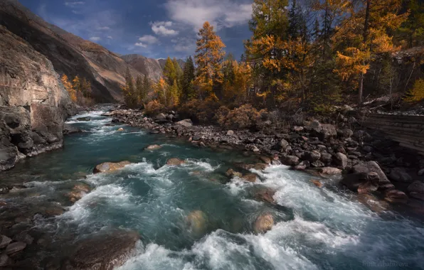 Осень, пейзаж, горы, природа, река, камни, Алтай, Карагем