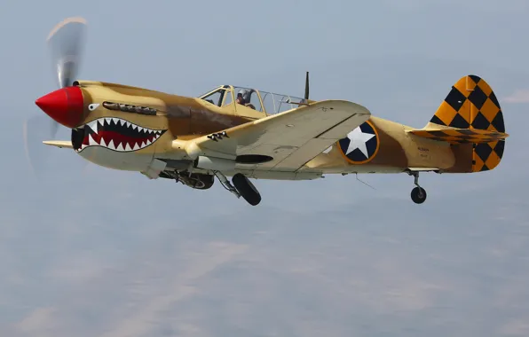 Истребитель, кабина, пилот, Curtiss P-40