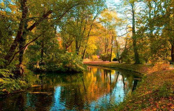 River, park, autumn, fall