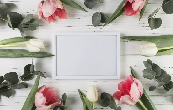 Цветы, рамка, тюльпаны, розовые, white, белые, wood, pink