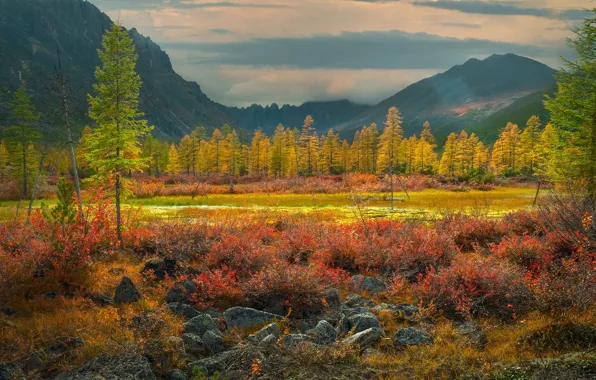 Осень, деревья, пейзаж, горы, природа, лиственницы, Владимир Рябков, Колыма