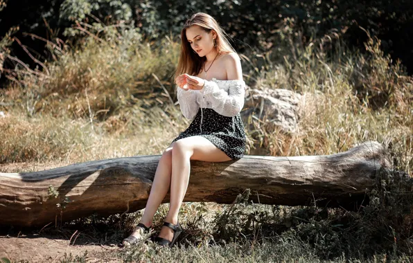 Картинка grass, blouse, trees, nature, model, women, brunette, sitting