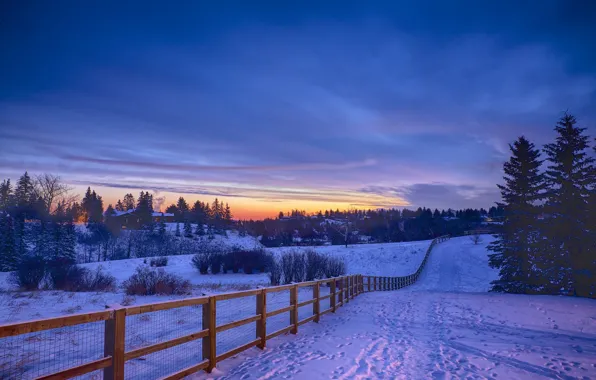 Картинка зима, снег, следы, восход, утро, деревня, ограждение, дорожка