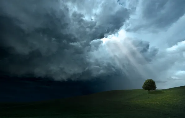 Картинка небо, облака, лучи, свет, деревья, дерево, холмы, пейзажи