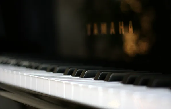Макро, пианино, macro, piano