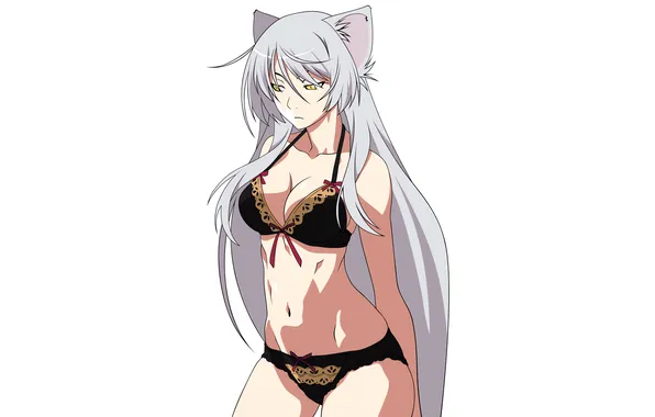Girl, sexy, lingerie, pantsu, bra, cleavage, panties, long hair