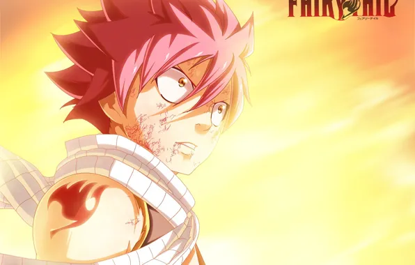 Парень, Fairy Tail, Нацу Драгнил, Хвост феи