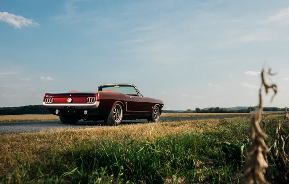 Ringbrothers, 1965 Ford Mustang Convertible, car, Ford Mustang Uncaged, sky, Mustang, Ford