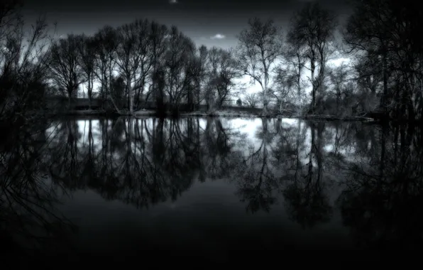 Картинка вода, деревья, ночь, фото, пейзажи