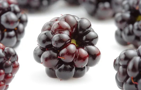 Ягоды, ежевика, аппетитно, blackberries